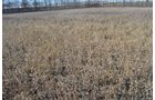 Property photo 1 - East Allen County - 55 Acre Land Auction